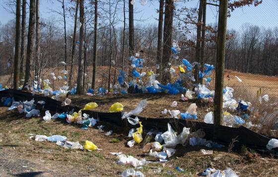 Plastic bags littering trees