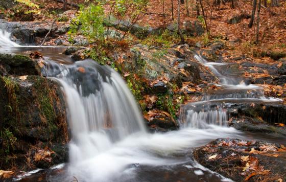 Small water fall, in a forest