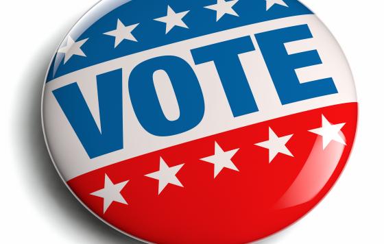 Vote! Credit:  PhotoStockImage / Shutterstock