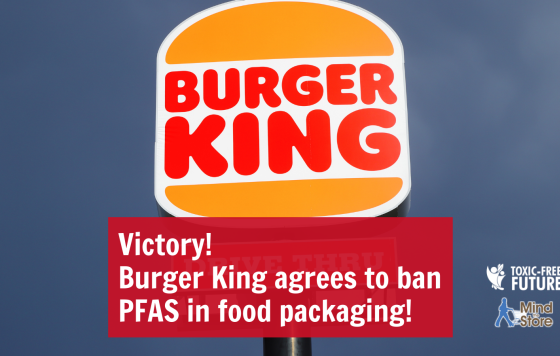 Burger King victory graphic - Twitter.png