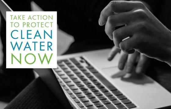 Picture of hands typing on laptop. Caption: Take action to protect clean water now.