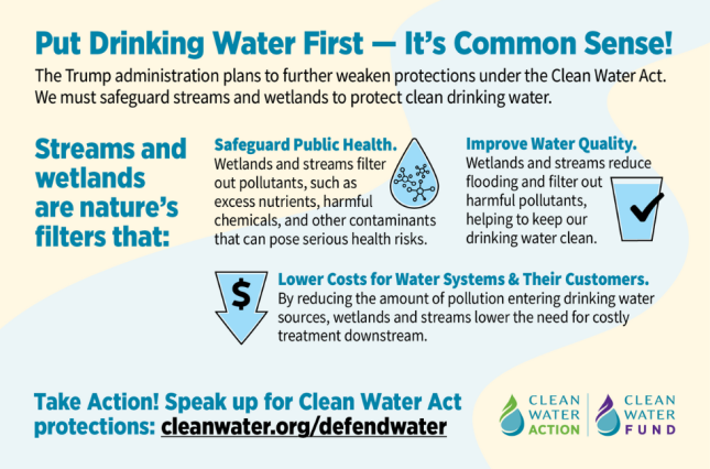 PDWF Infographic